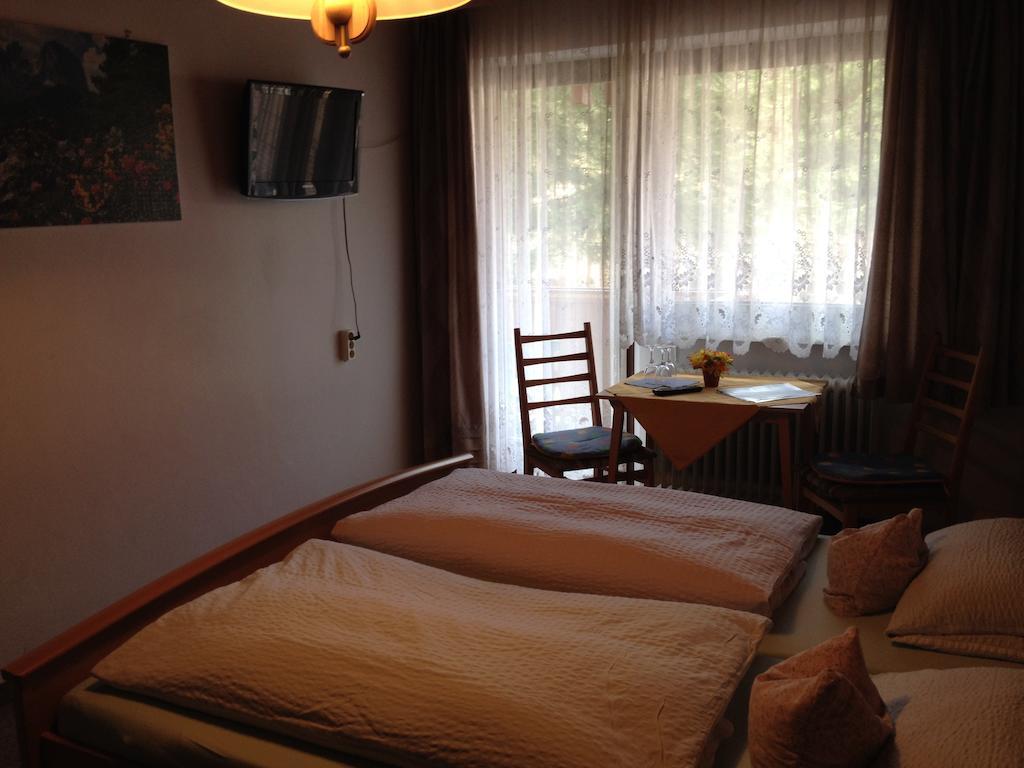 Gasthaus Pension Sternknoeckel Bodenmais Ruang foto
