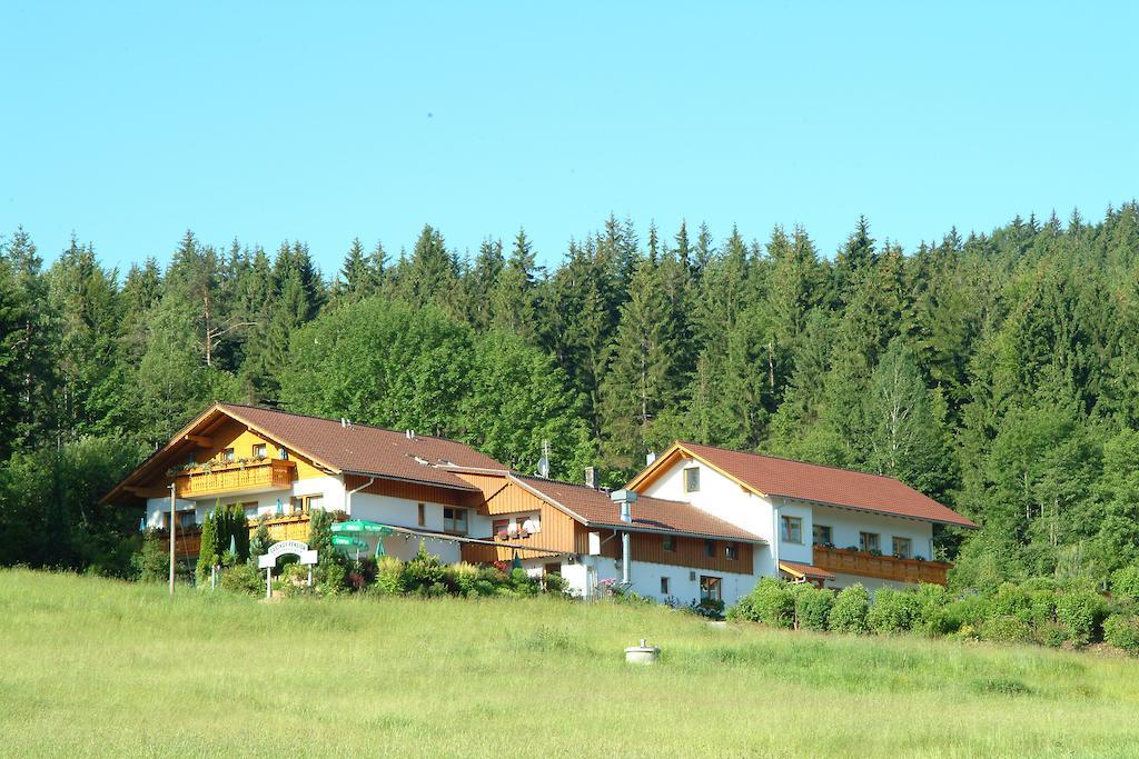 Gasthaus Pension Sternknoeckel Bodenmais Bagian luar foto