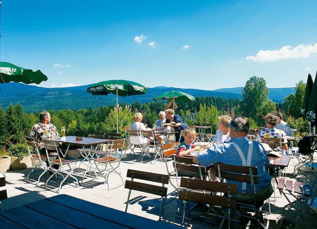 Gasthaus Pension Sternknoeckel Bodenmais Bagian luar foto