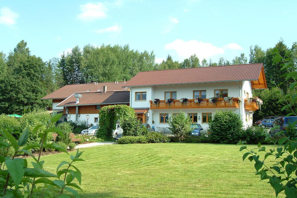 Gasthaus Pension Sternknoeckel Bodenmais Bagian luar foto