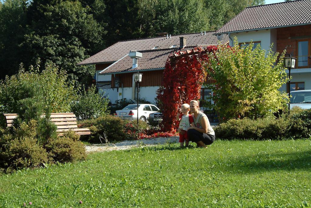Gasthaus Pension Sternknoeckel Bodenmais Bagian luar foto